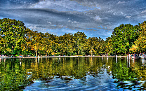 View of the lake of Central Park with trees